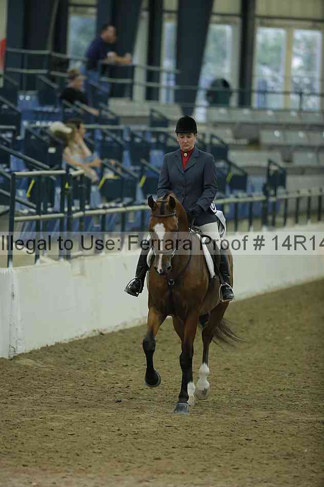 Proof Number 14r14_1629