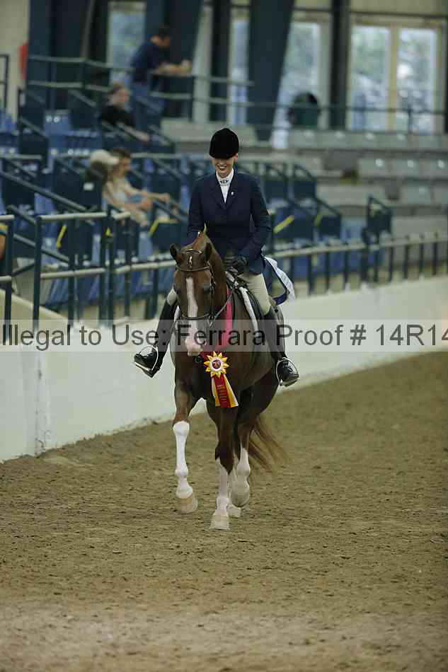 Proof Number 14r14_1632