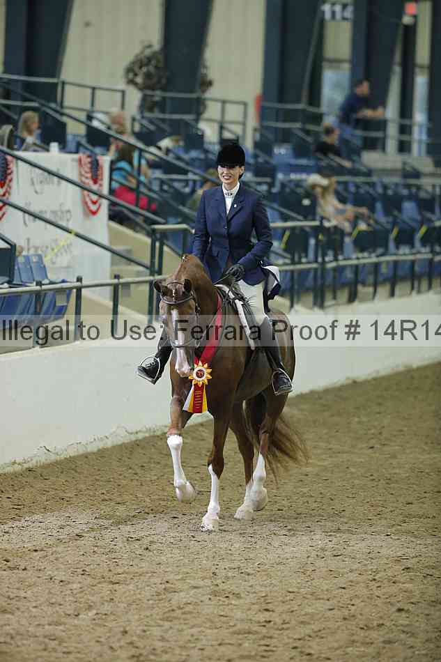 Proof Number 14r14_1633