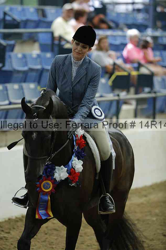 Proof Number 14r14_1639