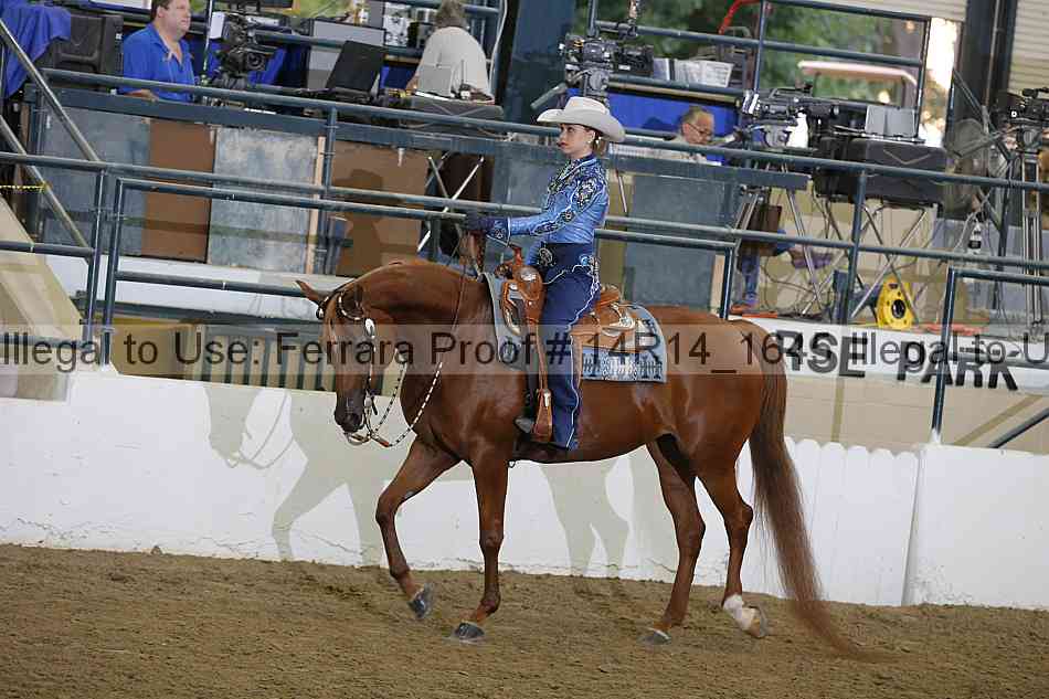 Proof Number 14r14_1645