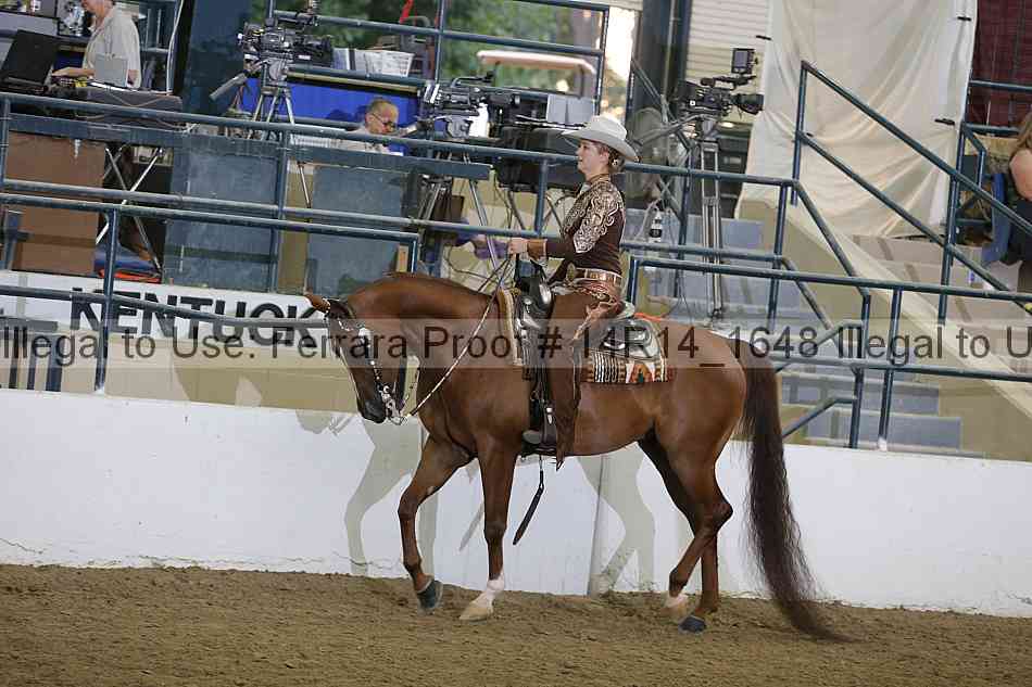 Proof Number 14r14_1648