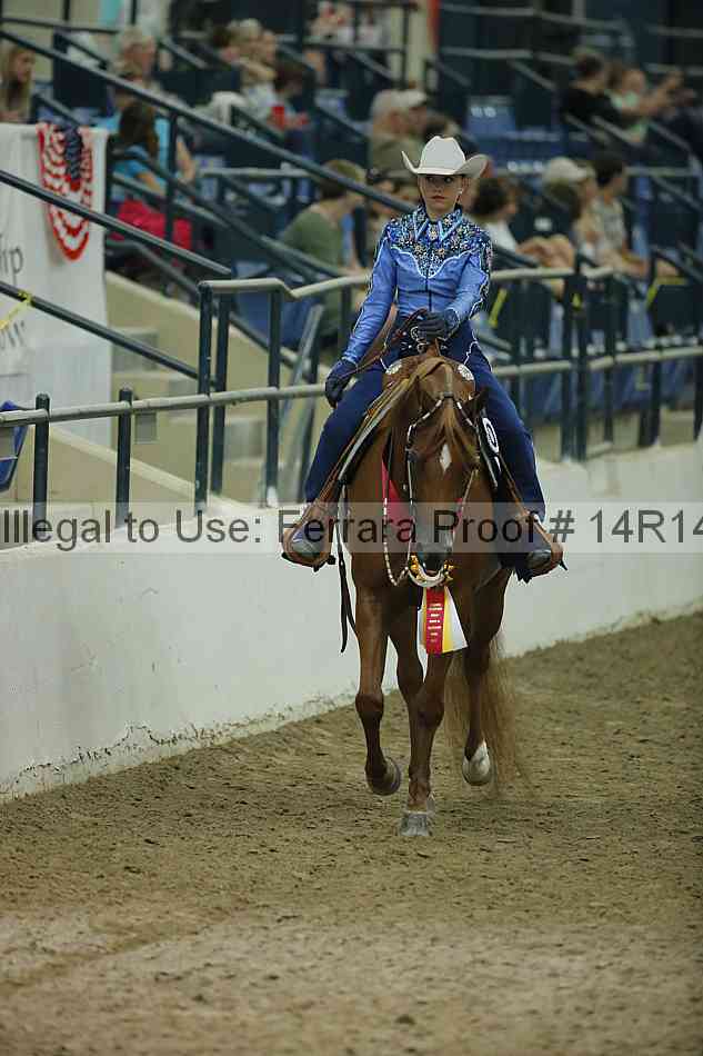 Proof Number 14r14_1668