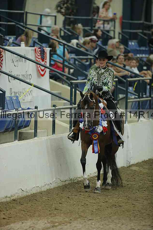 Proof Number 14r14_1677