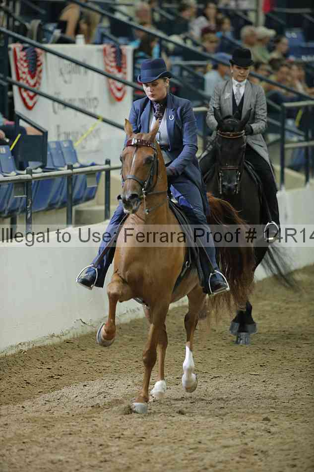 Proof Number 14r14_1707
