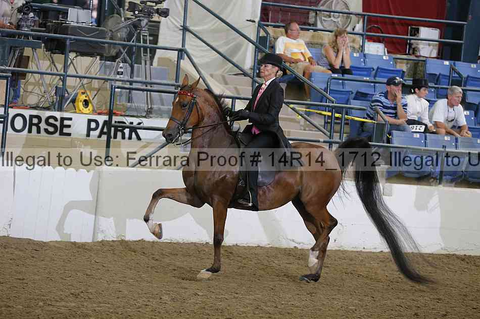Proof Number 14r14_1712