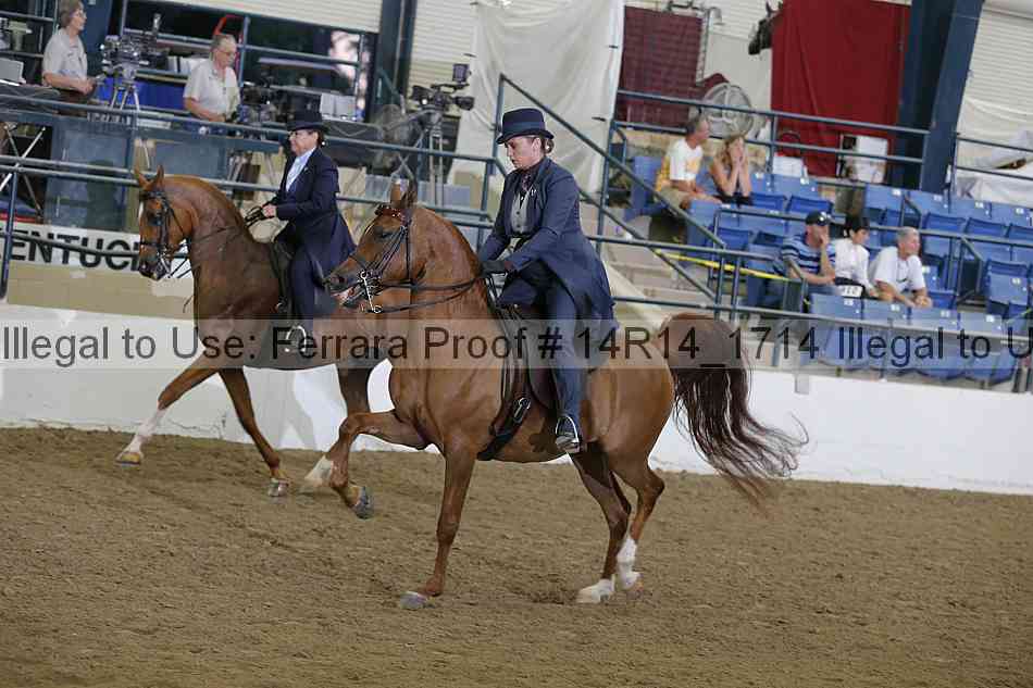 Proof Number 14r14_1714