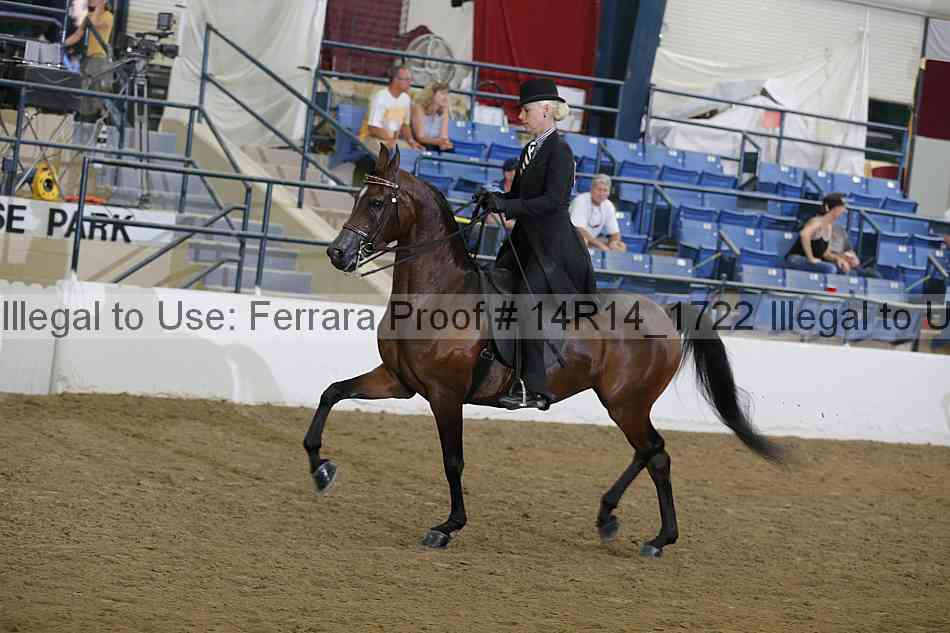 Proof Number 14r14_1722