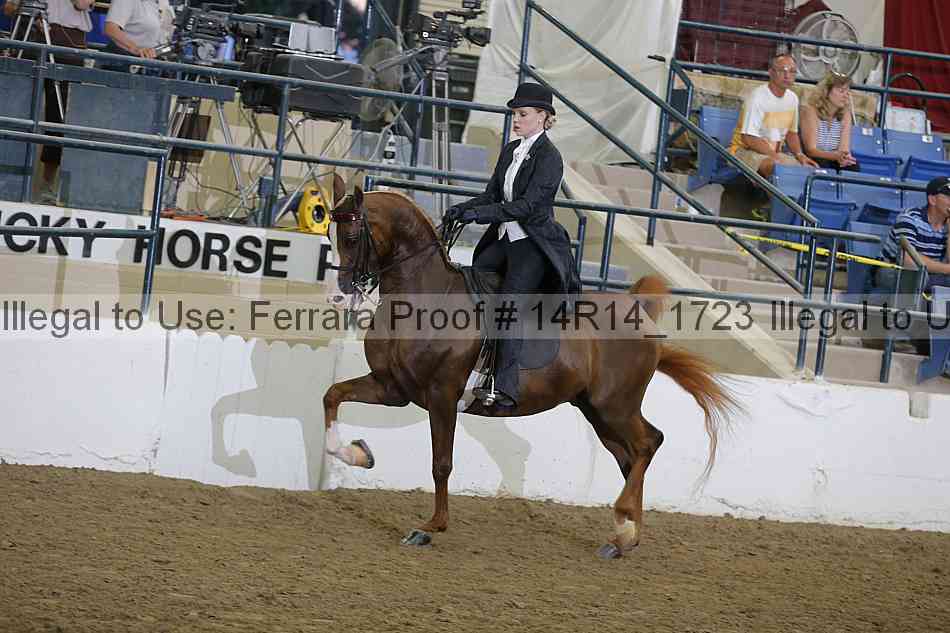 Proof Number 14r14_1723