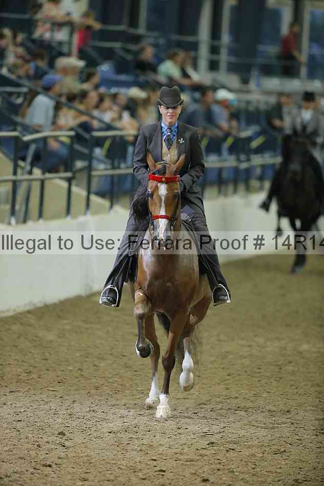 Proof Number 14r14_1724