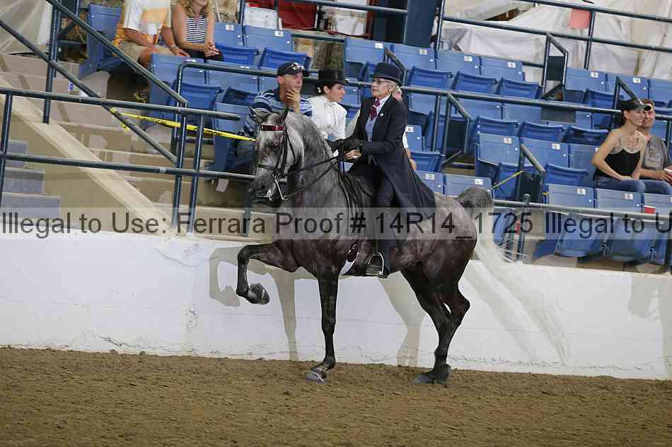 Proof Number 14r14_1725