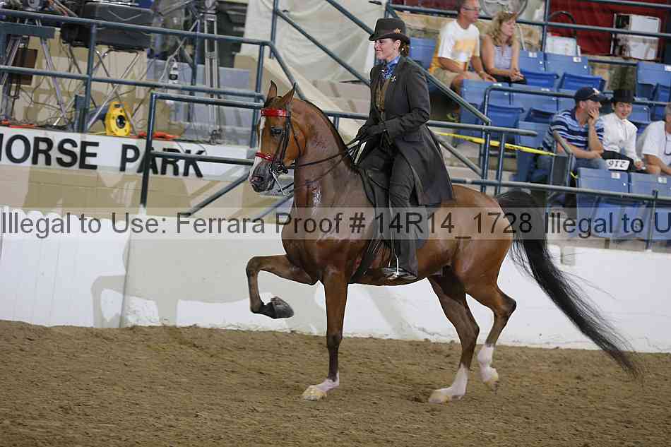 Proof Number 14r14_1728
