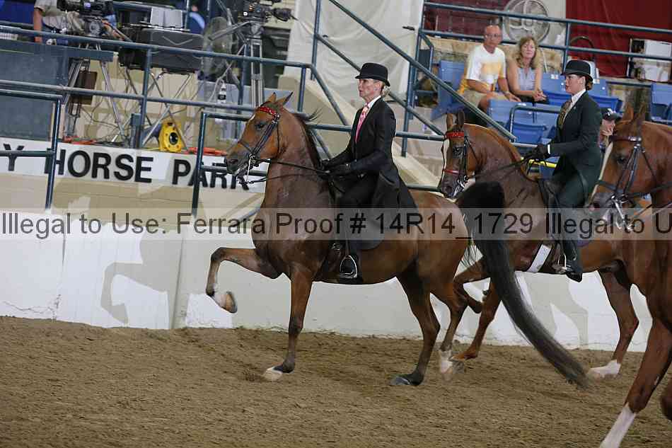 Proof Number 14r14_1729