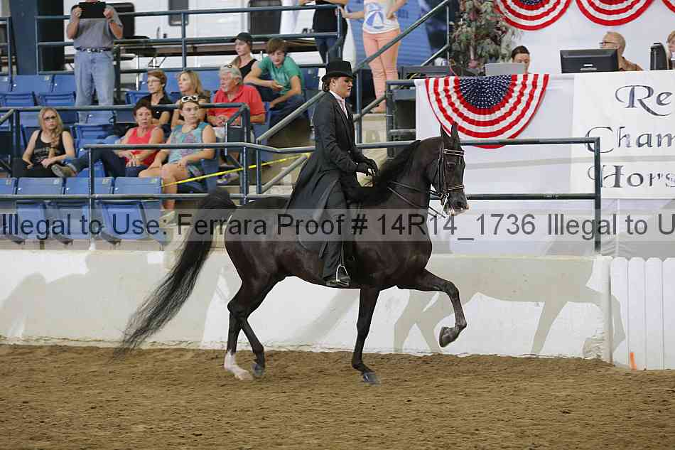 Proof Number 14r14_1736