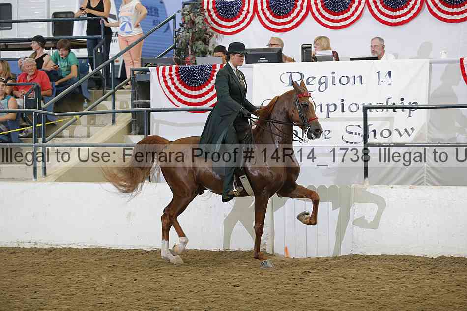 Proof Number 14r14_1738