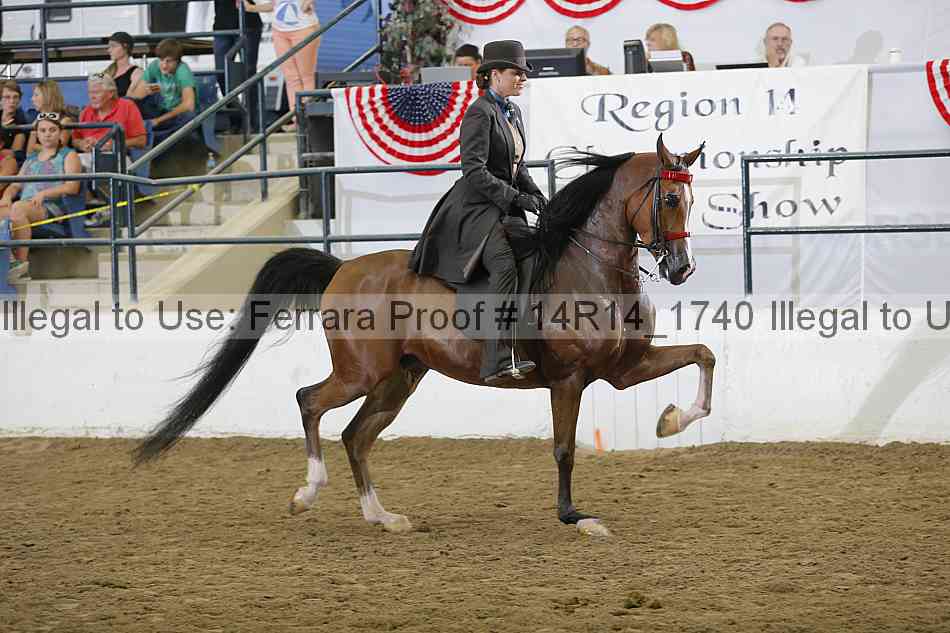 Proof Number 14r14_1740
