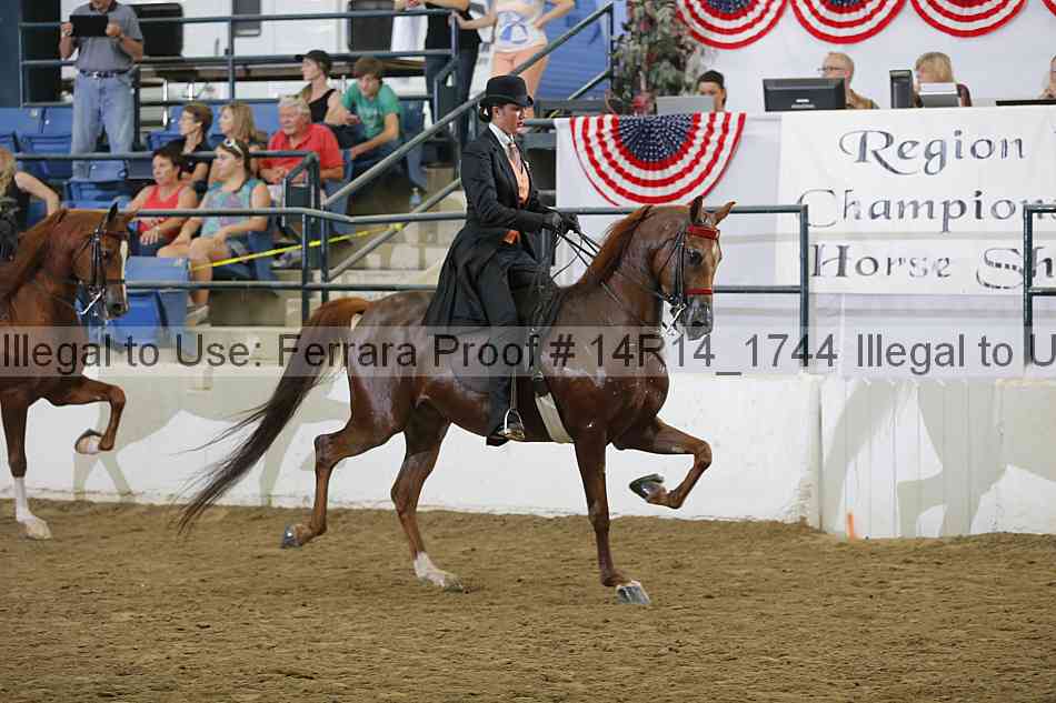 Proof Number 14r14_1744