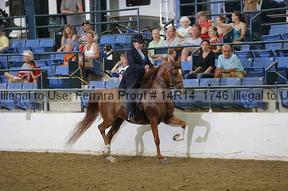 Proof Number 14r14_1746