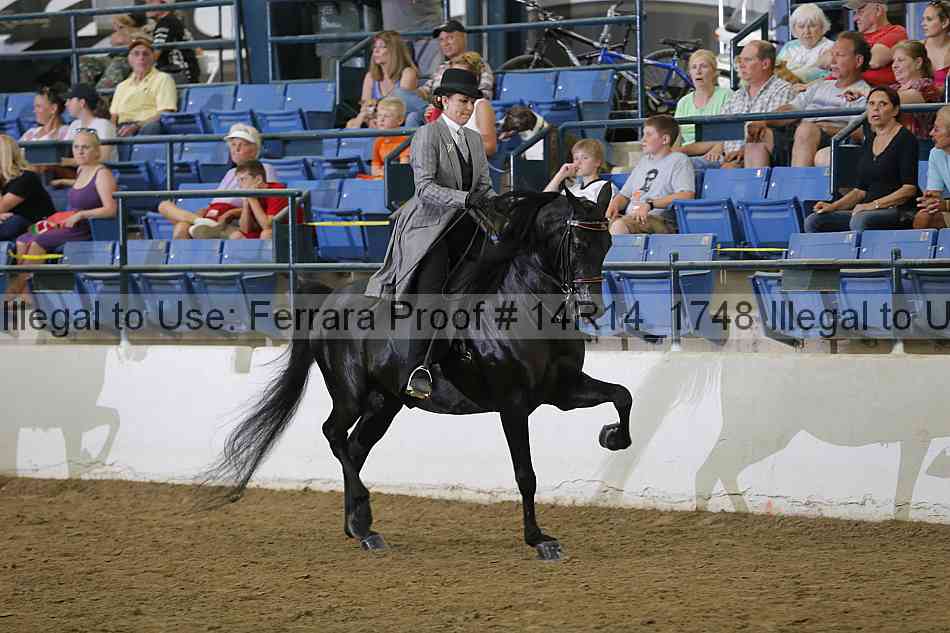 Proof Number 14r14_1748
