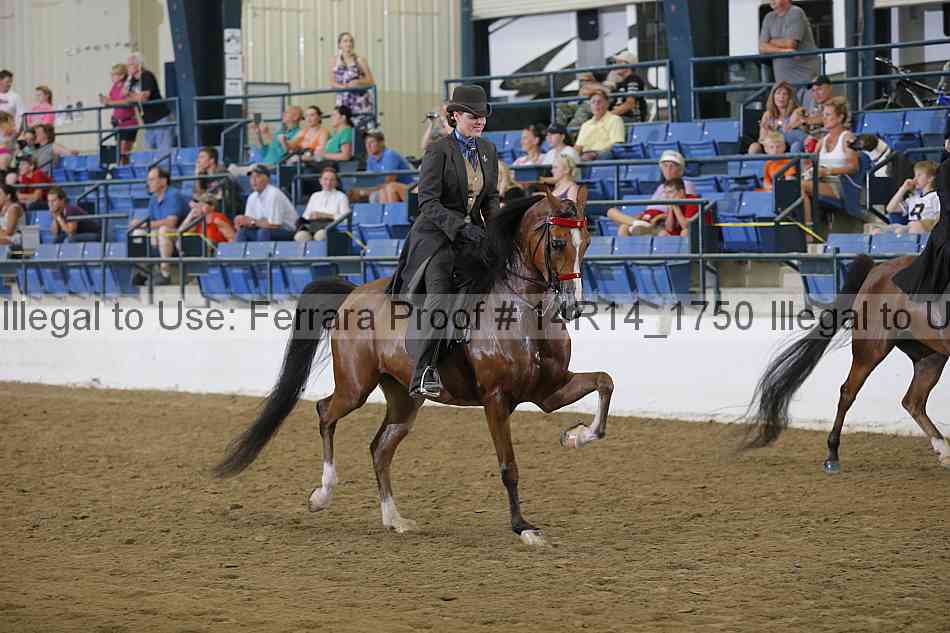 Proof Number 14r14_1750