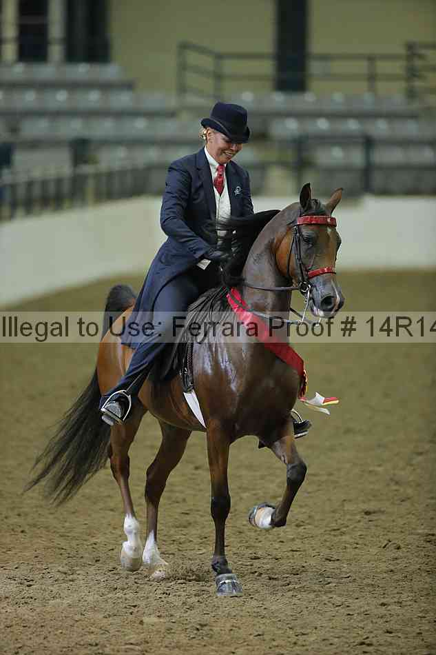 Proof Number 14r14_1751