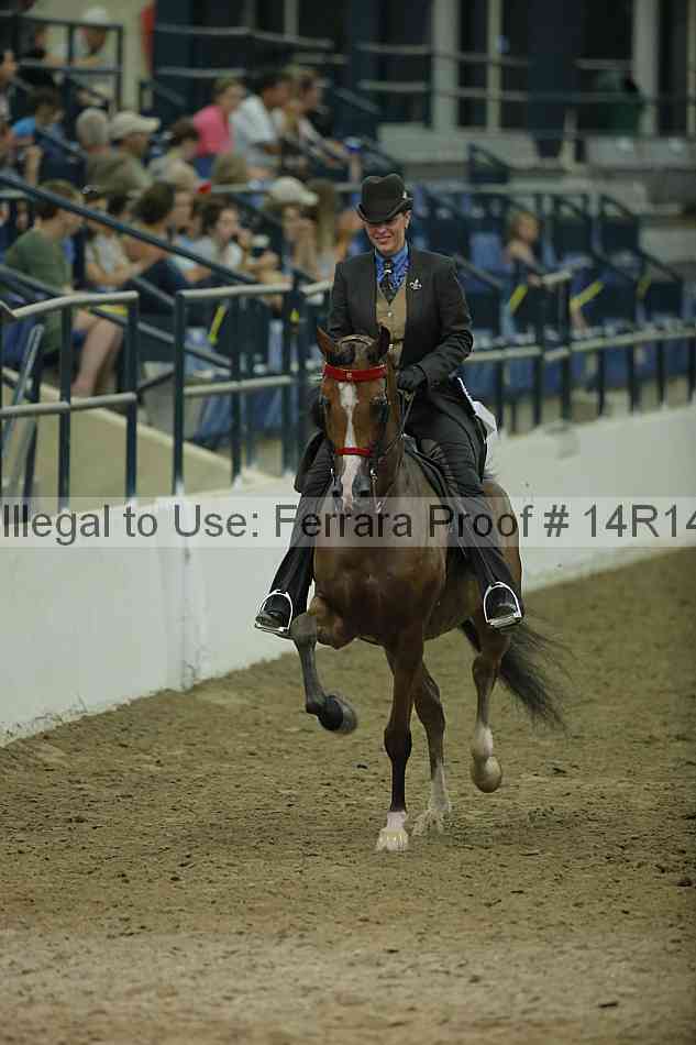 Proof Number 14r14_1753