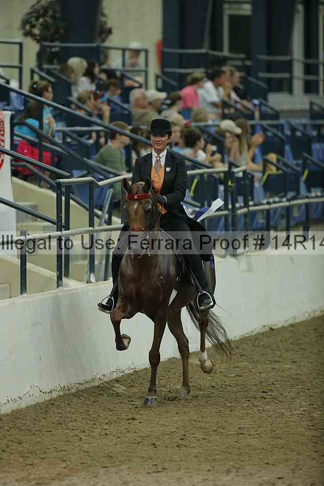 Proof Number 14r14_1754