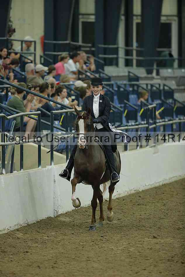 Proof Number 14r14_1756