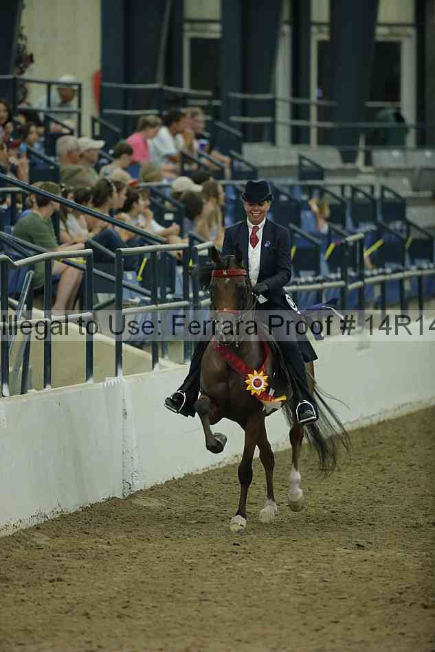 Proof Number 14r14_1758