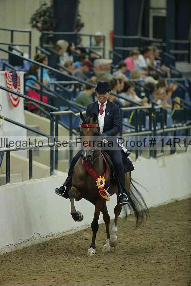 Proof Number 14r14_1759