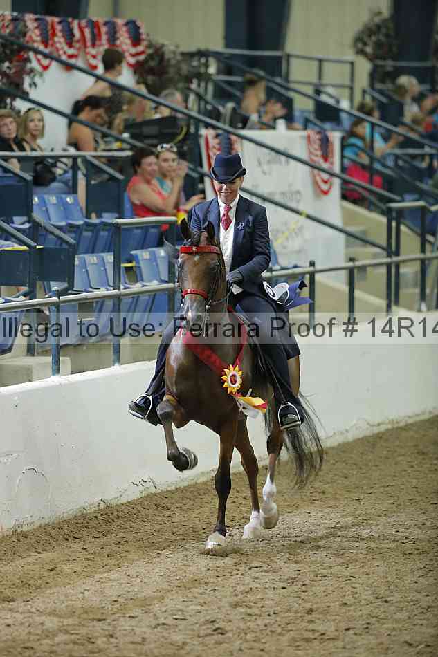 Proof Number 14r14_1760