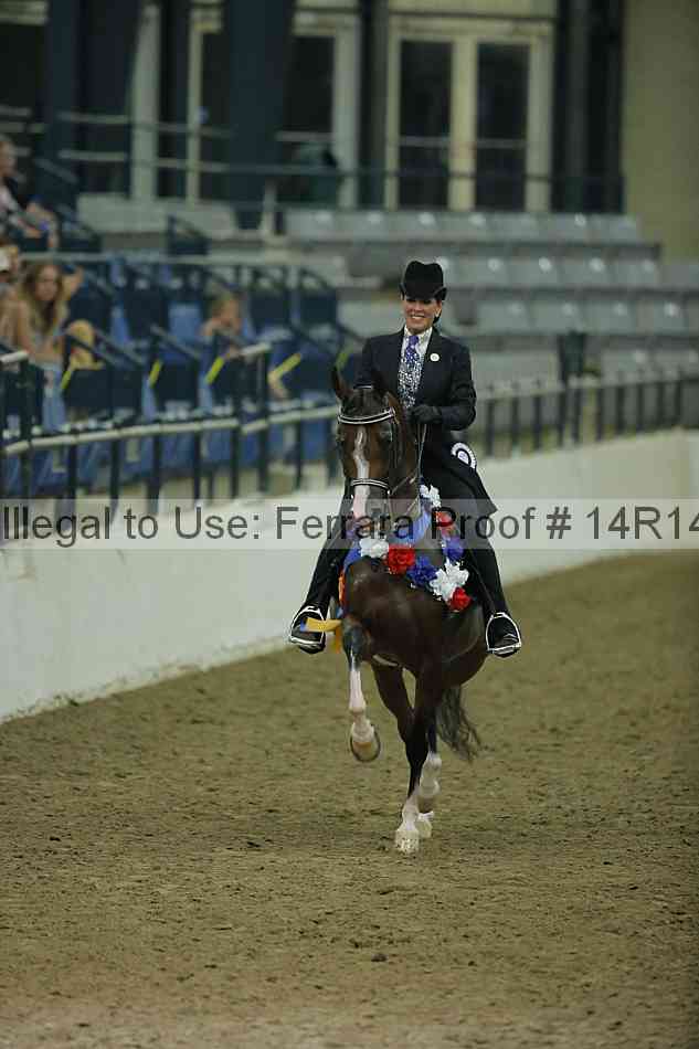 Proof Number 14r14_1761