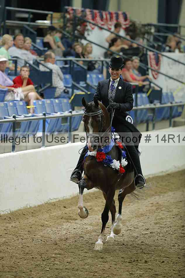Proof Number 14r14_1763