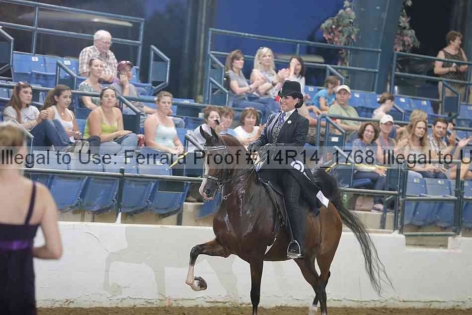 Proof Number 14r14_1768