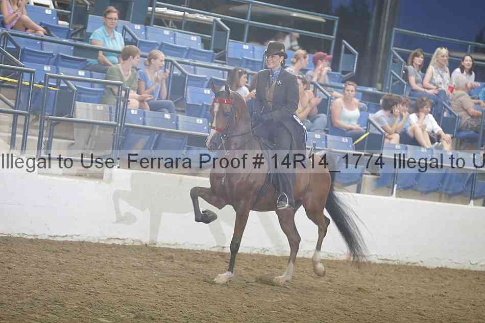 Proof Number 14r14_1774