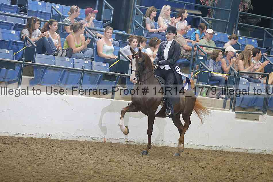 Proof Number 14r14_1779