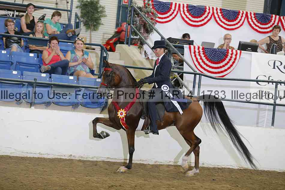 Proof Number 14r14_1783