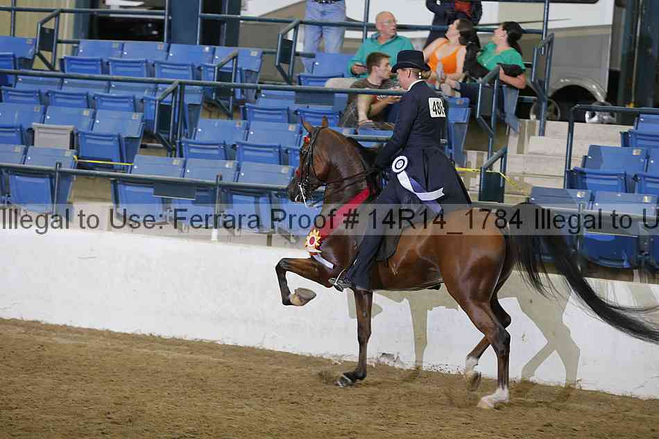 Proof Number 14r14_1784