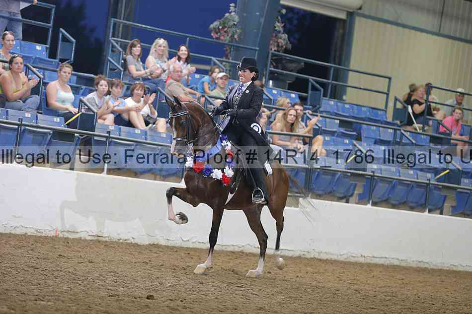 Proof Number 14r14_1786