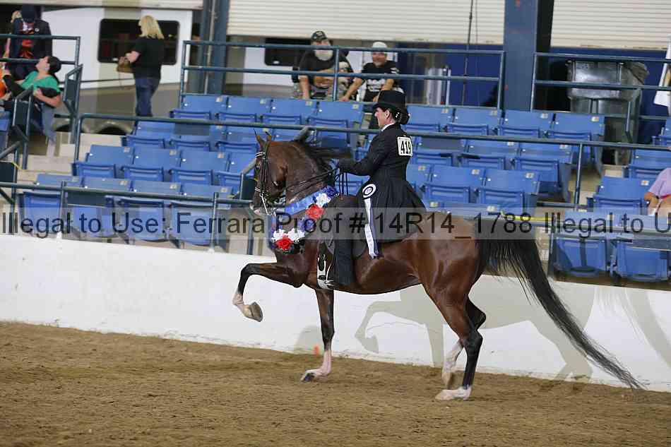 Proof Number 14r14_1788
