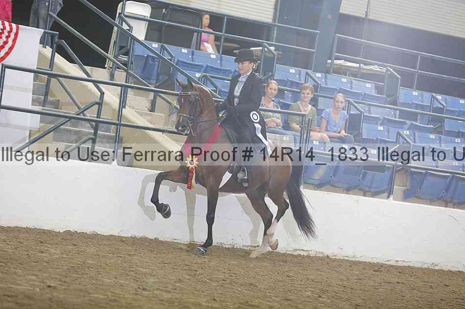 Proof Number 14r14_1833