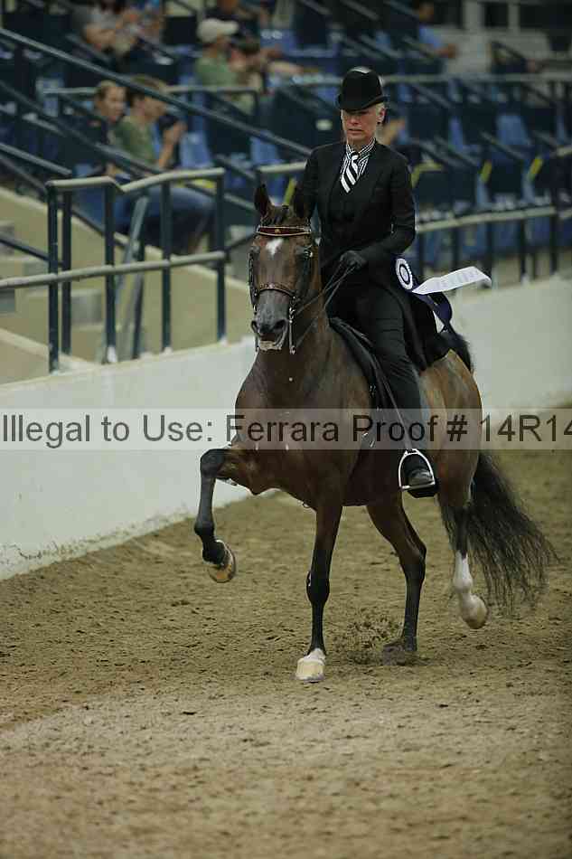 Proof Number 14r14_1834