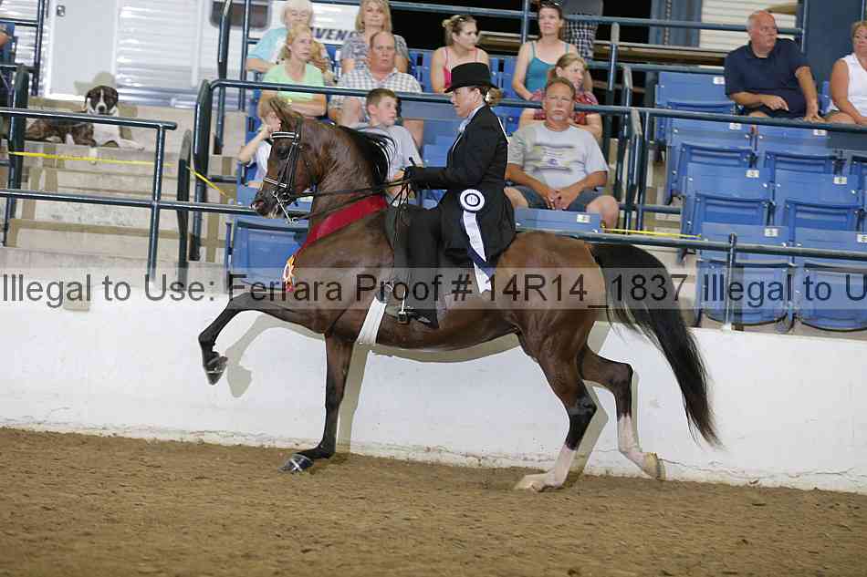Proof Number 14r14_1837