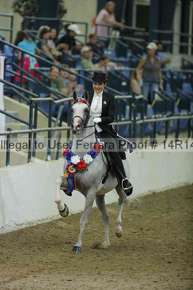 Proof Number 14r14_1841