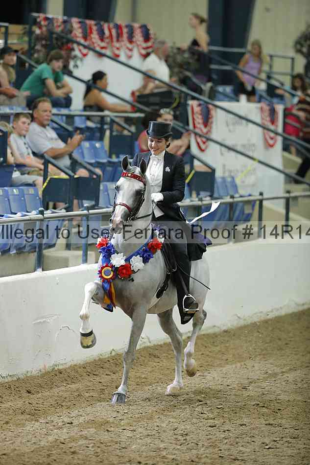 Proof Number 14r14_1842