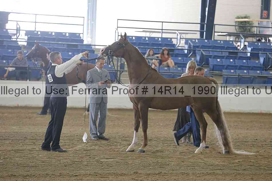 Proof Number 14r14_1990