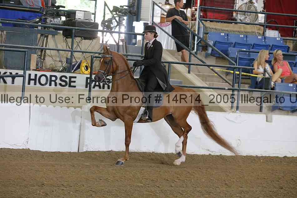 Proof Number 14r14_2005
