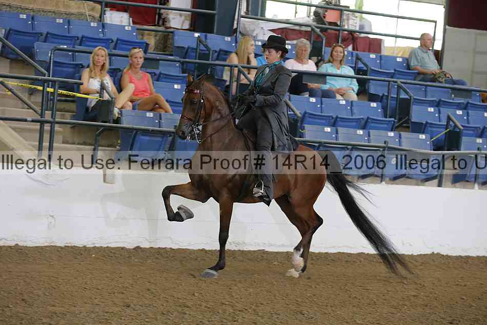 Proof Number 14r14_2006