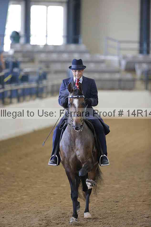Proof Number 14r14_2022