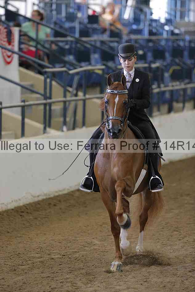 Proof Number 14r14_2024